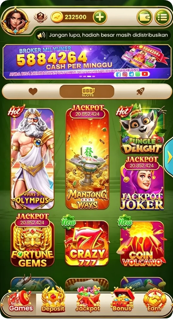 Review Aplikasi remi101 2
